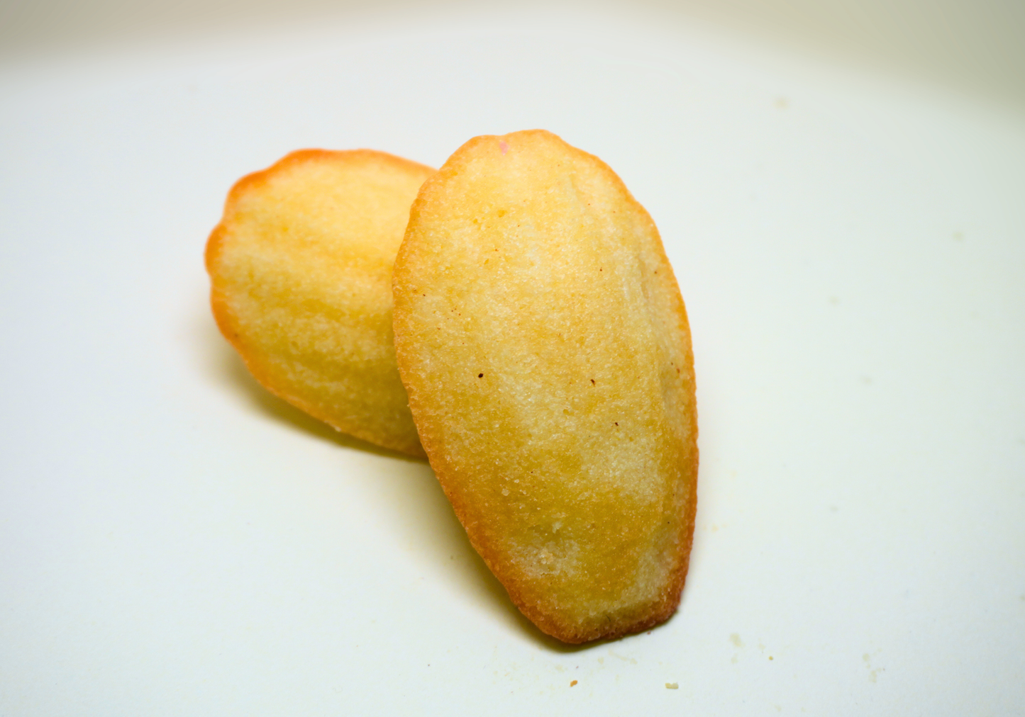 Lemon Gluten-Free Madeleine — Box of 15