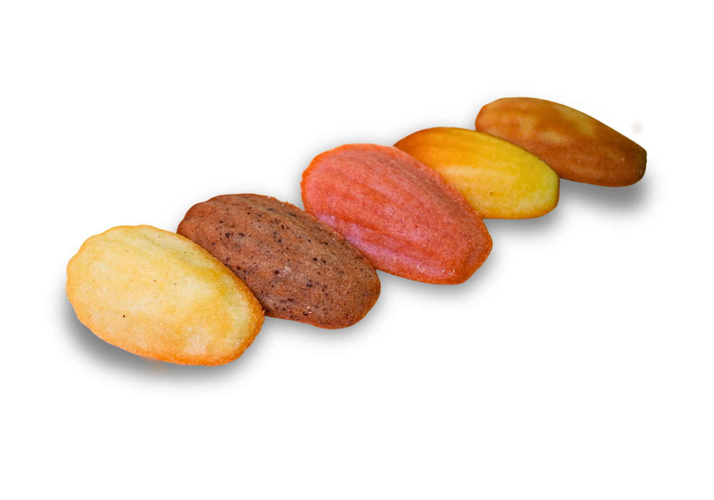Corporate Madeleine Gift Box