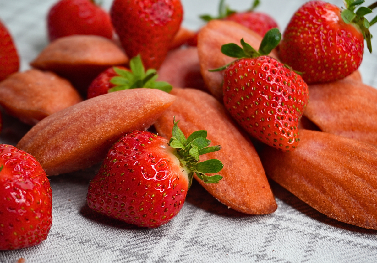 Strawberry Madeleine — Box of 15