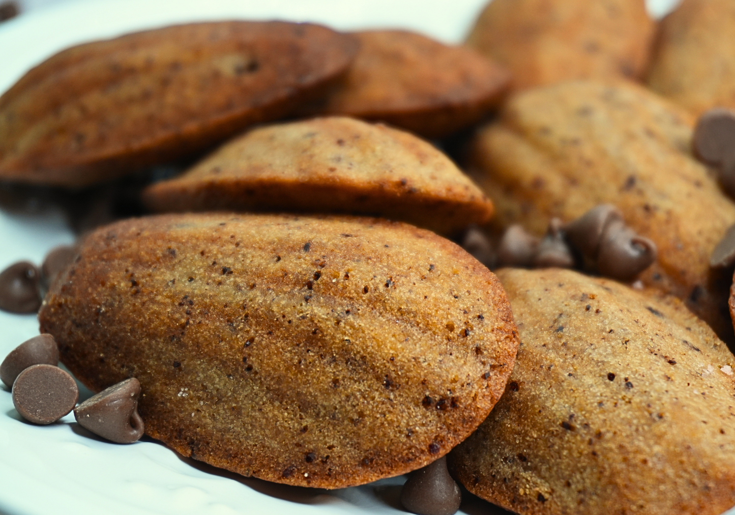Chocolate Chip  Gluten-Free Madeleine — Box of 15