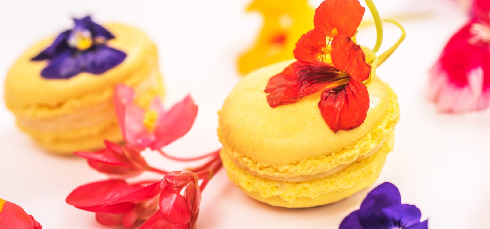 Yellow macaroons with purple and red edible flowers on